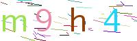 Verify Code