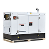 FAW 5-50kVA 디젤 발전기 세트 - 매우 조용하고 연료 소비가 적으며 가정 및 사무실에서 안정적으로 사용 가능